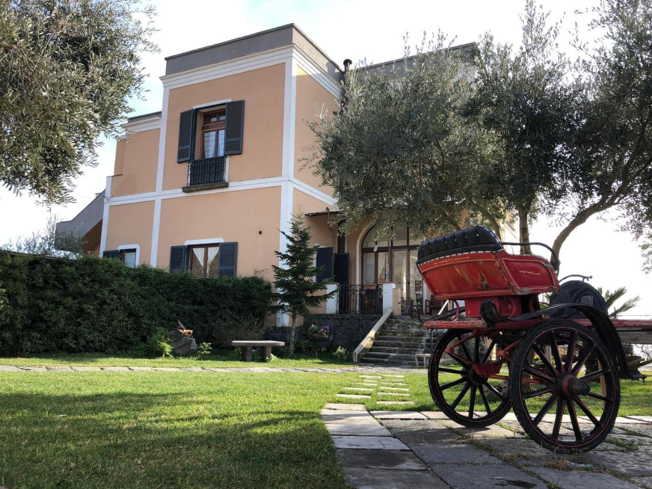 טורה דל גרקו Domus Agricolae Corallina מראה חיצוני תמונה