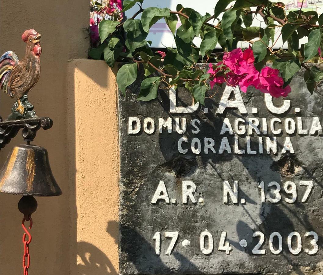 טורה דל גרקו Domus Agricolae Corallina מראה חיצוני תמונה
