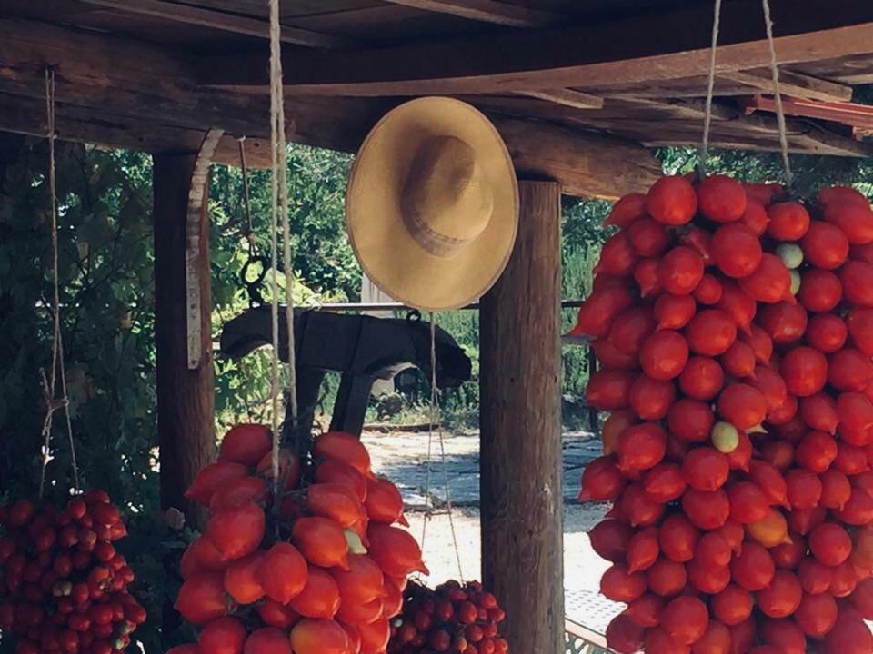 טורה דל גרקו Domus Agricolae Corallina מראה חיצוני תמונה